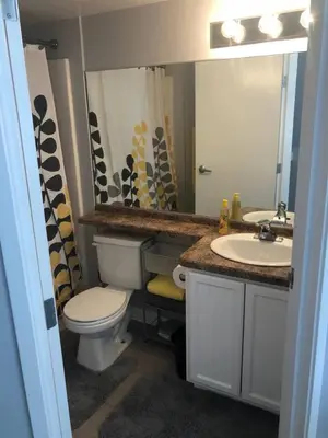 a bathroom with a toilet and a sink and a mirror at Cozy Downtown Modern Condo in the Heart of it all in Cleveland