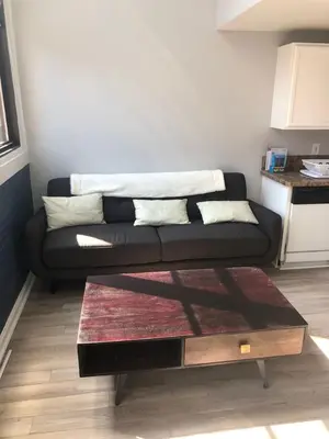 a black couch in a living room with a coffee table at Cozy Downtown Modern Condo in the Heart of it all in Cleveland