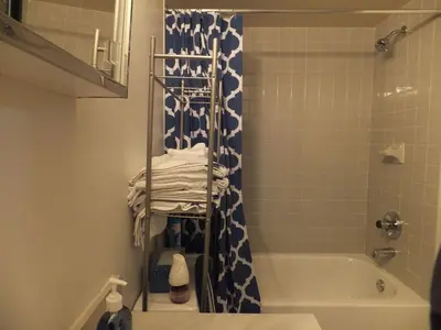 a bathroom with a shower and a tub and a sink at Renovated Downtown Condo in the HEART OF IT ALL in Cleveland