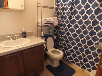 a bathroom with a toilet and a shower curtain at Renovated Downtown Condo in the HEART OF IT ALL in Cleveland