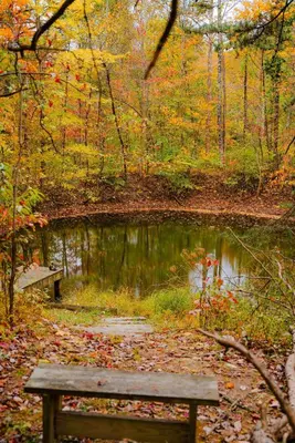 a park bench sitting in front of a pond at The 312 House - A Boho Retreat- Hocking Hills in Logan