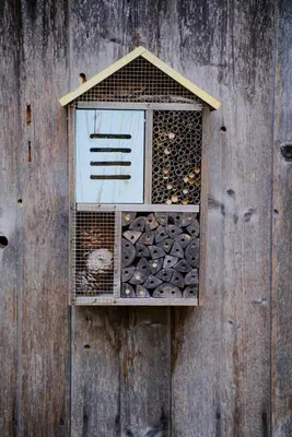 a wooden wall with a bird cage filled with logs at The 312 House - A Boho Retreat- Hocking Hills in Logan