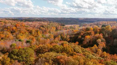 an aerial view of a forest of trees in autumn at The Treetop A Hocking Hills Villa Treat in Logan