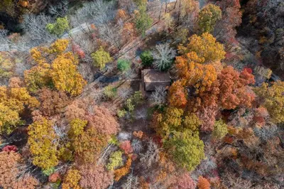 an aerial view of a forest with autumn foliage at Outdoors Sleeps7 Family Getaway Fun Arcade Villa in Rockbridge