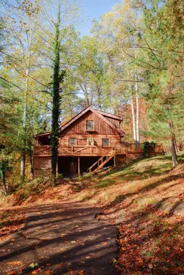 a log cabin in the woods with a road at Outdoors Sleeps7 Family Getaway Fun Arcade Villa in Rockbridge