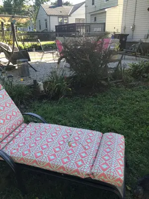 a couch sitting in the grass in a yard at Suite Serenity in Cleveland