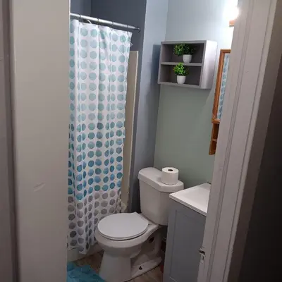 a bathroom with a toilet and a shower curtain at The Unique Spot in Cleveland