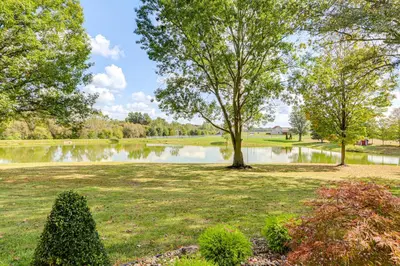 a park with a tree and a lake at Fish, Unplug and Unwind! Countryside Plymouth Home