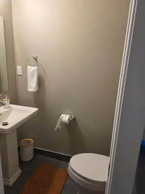 a bathroom with a toilet and a sink at Midtown Hideaway in Cleveland
