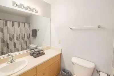 a bathroom with a sink and a toilet and a mirror at Bright Urban Retreat-Steps to CSU & Theater Dstrct in Cleveland