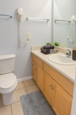 a bathroom with a toilet and a sink at Bright Urban Retreat-Steps to CSU & Theater Dstrct in Cleveland
