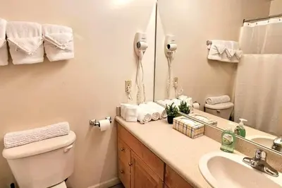 a bathroom with a toilet and a sink and a mirror at Spacious Loft with Fireplace - near CSU, Playhouse, Progressive field, R&R Hall of Fame with Gym & Sauna and Sleeps 12 in Cleveland
