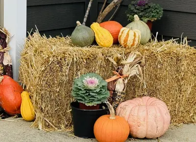 a bunch of pumpkins sitting on a pile of hay at Luxurious 1875 centrally located Canton Akron home, expansive primary & sunset view in Uniontown