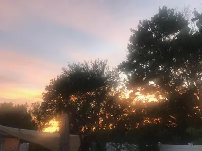 a tree with the sun setting behind it at Luxurious 1875 centrally located Canton Akron home, expansive primary & sunset view in Uniontown