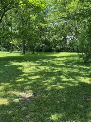 a field of grass with trees in a park at Glendale Cozy Gem 2b 1b queen,twin, trundle,sofa in Cincinnati