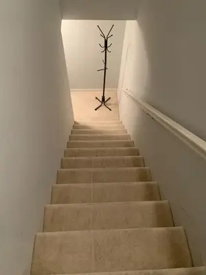 a stairway leading up to a room with a plant on the wall at Nice Basement room in the house in Medina