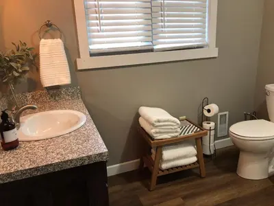 a bathroom with a sink and a toilet and a window at Walnut Valley Farm guesthouse in Canton