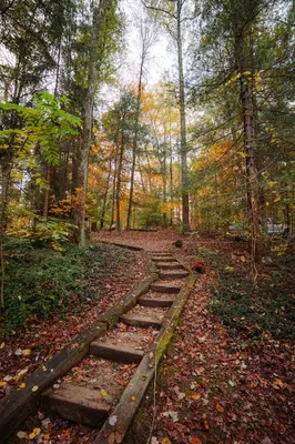 a path in the woods with leaves on the ground at Waterfront A Frame with Dock Canoe Kayaks Family in Rockbridge