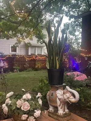 a planter with an elephant and a potted plant in a yard at Tree House 6 bedrooms, 2 blocks from everything in Cuyahoga Falls