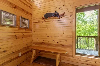 a sauna with a dog sitting on a window at Hot Tub No Pet Fee - Beary Secluded - RRG in Slade