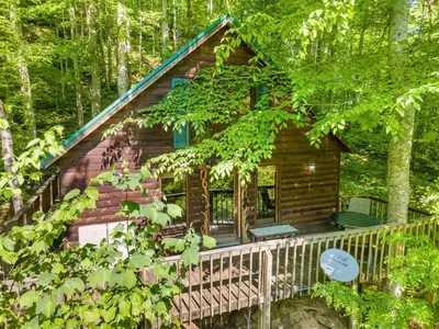 a log cabin in the woods with trees at Hot Tub No Pet Fee - Beary Secluded - RRG in Slade