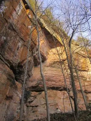 a group of trees in front of a rock wall at WiFi & Pets - Alice Rocks - Cave Run Lake & RRG KY in Frenchburg