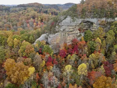 an aerial view of a forest with fall foliage at WiFi & Pets - Alice Rocks - Cave Run Lake & RRG KY in Frenchburg