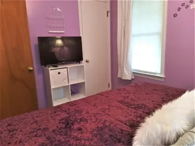 a bedroom with a bed and a tv and a window at Affordable for 8 guests-King bed-2 Baths-Firepit in Brooklyn