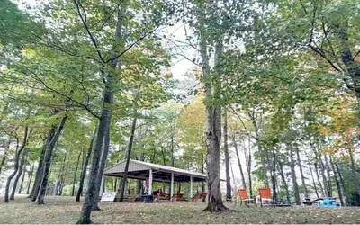 a pavilion in the middle of a forest with trees at The Evergreen Cabin in Lancaster