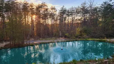 a pool of water in the middle of a forest at The Backwoods Paradise in Logan