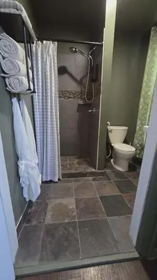 a bathroom with a shower and a toilet at Lincoln House Inn in Bowling Green
