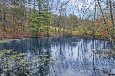 a pond in the middle of a forest at Mirror Pond Cabins in Rockbridge