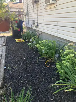 a garden with flowers and plants next to a house at Suite Serenity in Cleveland