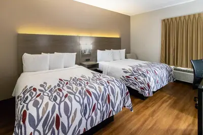 a hotel room with two beds and a window at Red Roof Inn Springfield, OH in Springfield