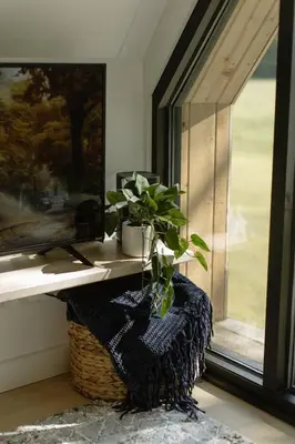 a plant sitting on a table next to a window at The Alto in Logan