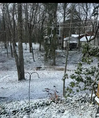 a yard covered in snow with trees and houses at Gem In The Heart of Mill Creek in Youngstown