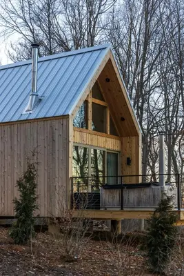 a wooden cabin with a blue tin roof at The Ffern in Logan