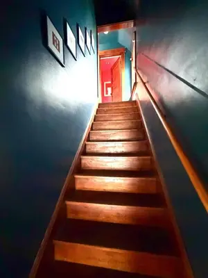 a stairway leading up to a red door at 3 Bedroom Home, near downtown, Tremont, Ohio City! in Cleveland