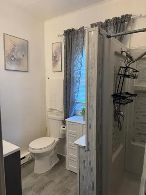 a white bathroom with a toilet and a shower at Perfect for Travel Nurses Quiet in Clarksburg