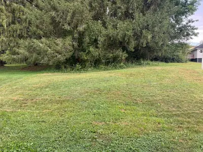 a large grassy field with a tree in the background at Cozy 3 4 BR Home Ideal for Family in Clarksburg