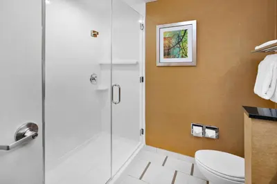 a bathroom with a shower and a toilet at Fairfield Inn & Suites by Marriott Athens in Athens