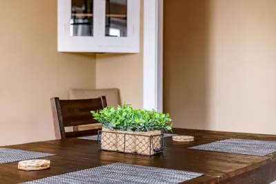 a dining room table with a potted plant on it at Jungle Book by Jungle House Walkable to High Street Downtown & Short North Near Nationwide Arena OSU & Convention Center Free Parking 5 800 Reviews in Columbus