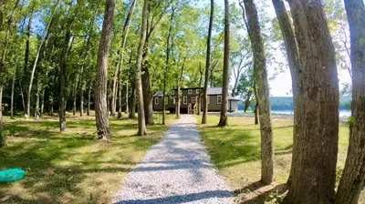 a path leading to a house in the woods at Hagrid's Hut - Harry Potter Riverfront Experience in New Richmond