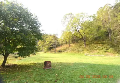 a trash can in a field next to a tree at Secluded one room house on 235 acres in Salem