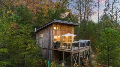 a tree house in the middle of a forest at The Dragonfly - Tiny Mountaintop Cabin with Hot tub in Stanton