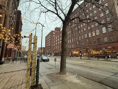 a tree on a city street next to a fence at Speakeasy Attached, Walkable to Cavs, Flats, Casino in Cleveland