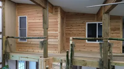 a log cabin with a porch with wooden walls at The Conservatory at Owl Hollow in Woodsfield