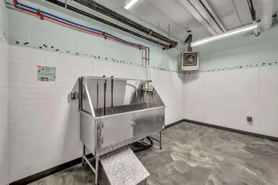 a laboratory with a sink in a room at Little Italy & CWRU w King BedGymParkingWD in Cleveland