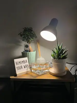 a table with a lamp and plants on it at Modern apt in Cincy stadiums and with river views in Cincinnati