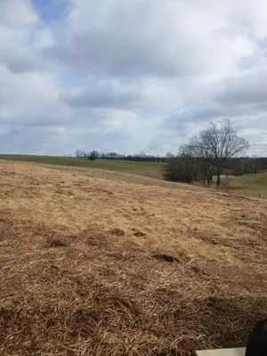 a large field with dried grass and trees in it at A Million Dollar View in Owenton